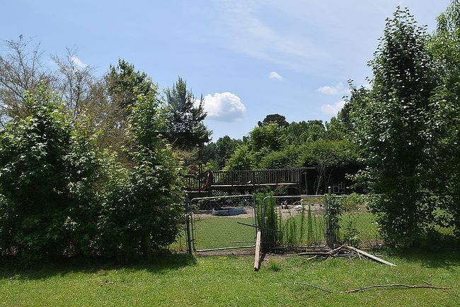 Image of 564 Emmett Ln