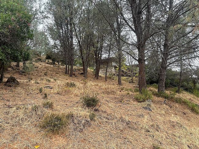 Image of 10860 Skyview Dr