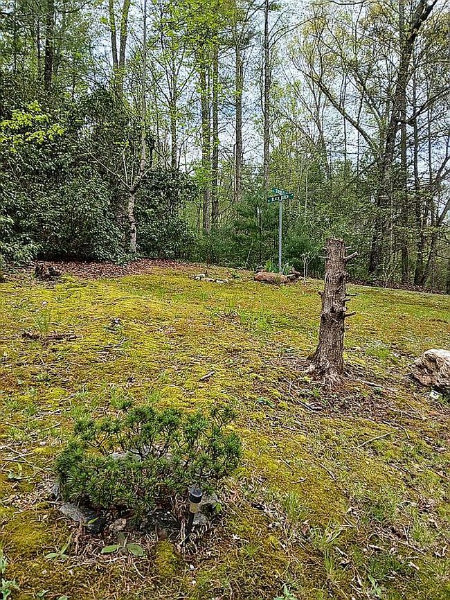 Image of 79 Serenity Ln