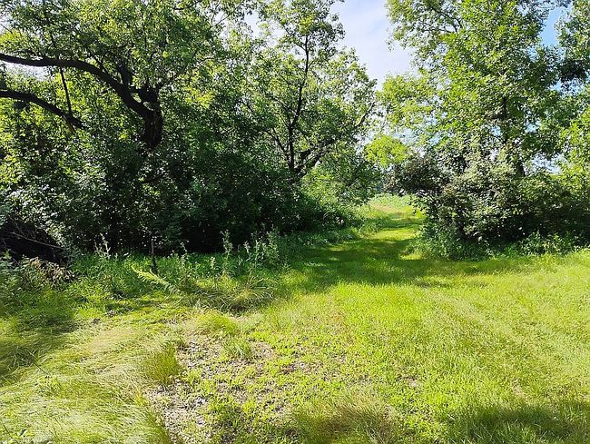 Photo of 44888 County Road 54, Ottertail, MN