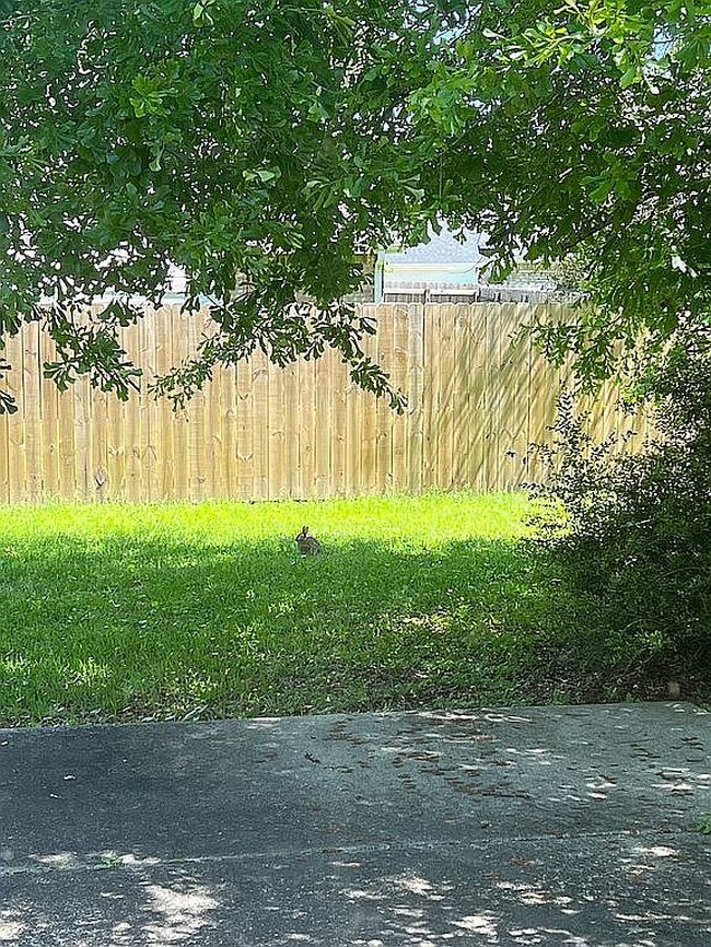 Photo of 13012 Windcrest Ln, Gulfport, MS