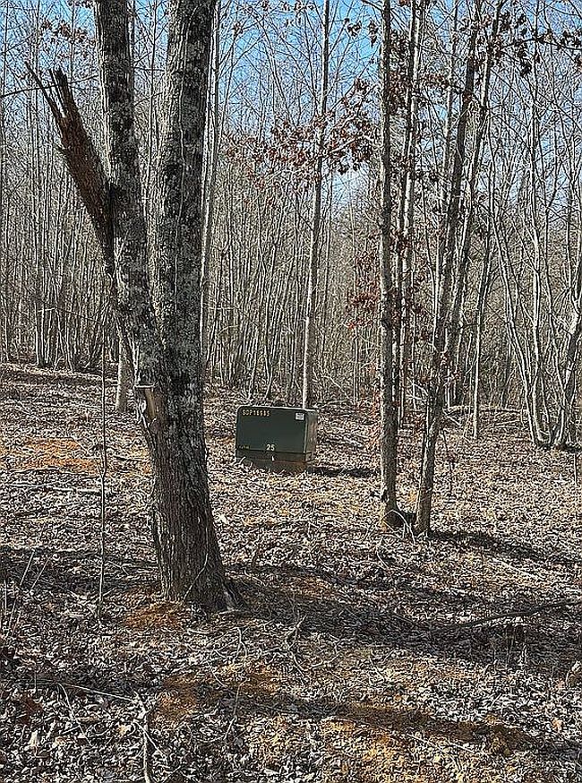 Photo of 833 Coke Bowman Rd, Soddy Daisy, TN