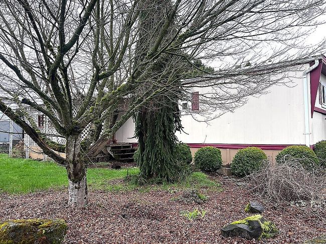 Image of 13401 Ne 28th St Unit 202