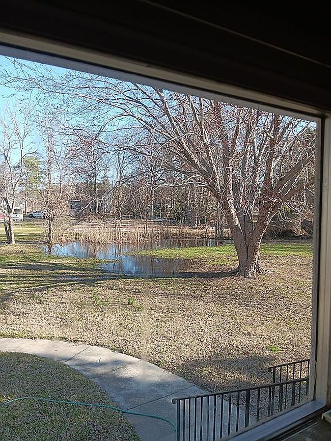 Image of 12 Holston Ln