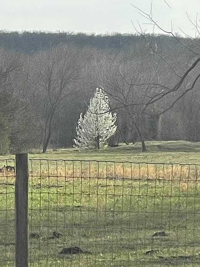 Image of 31095 S 180th Rd