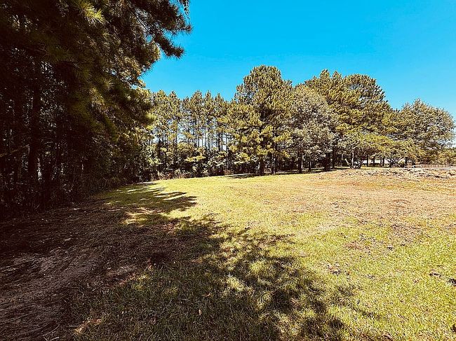 Image of 267 Sandy Acres Dr