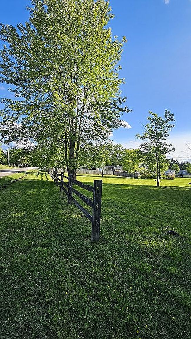 Image of 8304 Cedar Rd