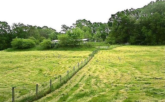 Image of 211 Lewis Brown Rd