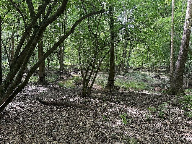 Photo of 121 Lr #33, Ashdown, AR