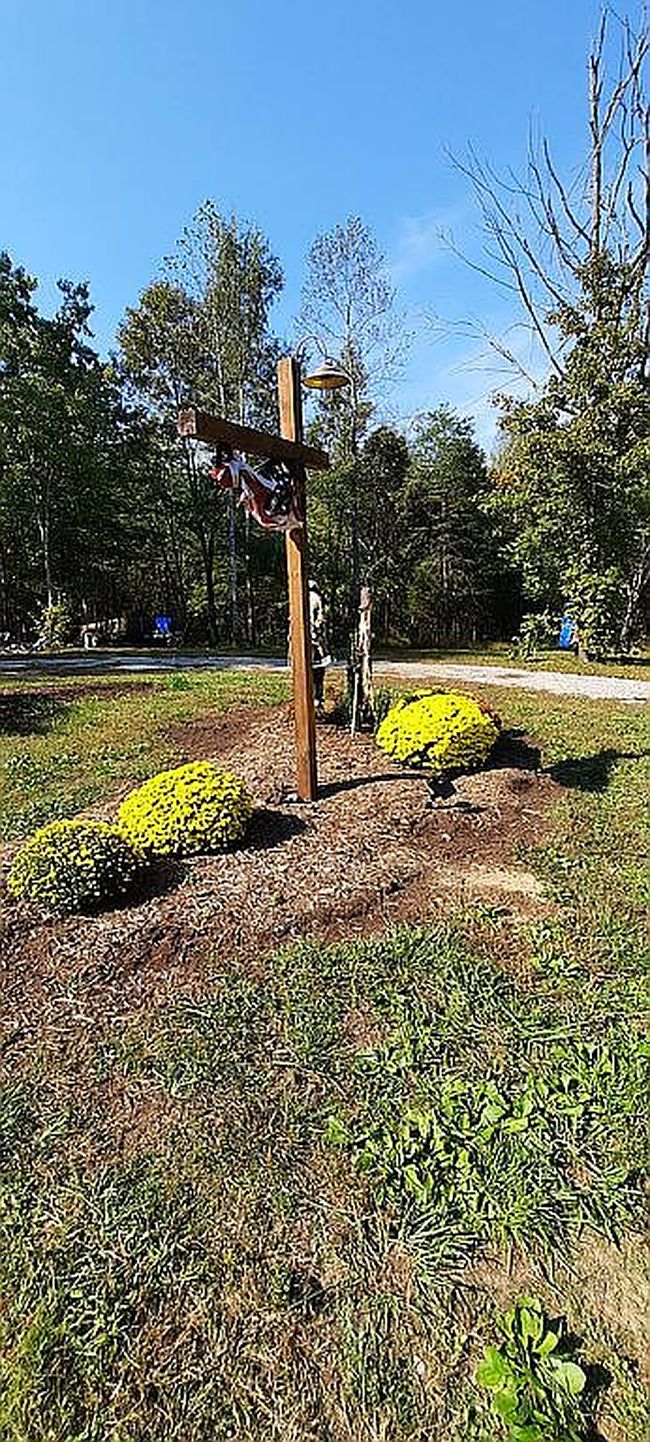 Image of 931 Toms Creek Trl