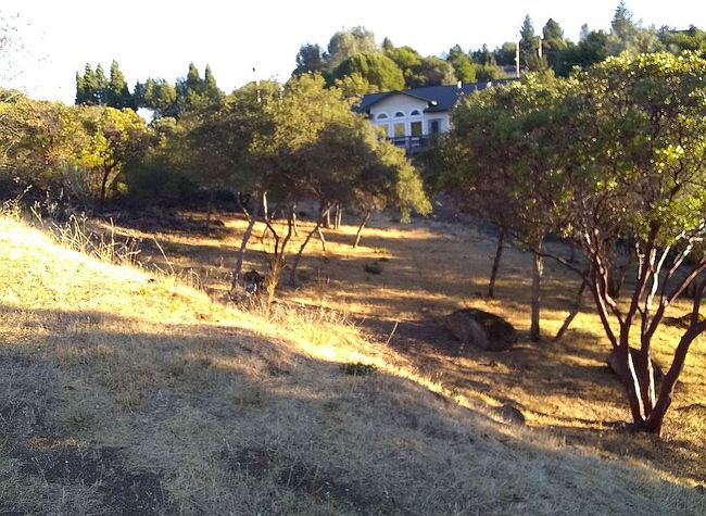 Image of 9889 Emerald Dr