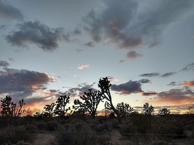 Photo of 26805 N Palo Christi Rd, Meadview, AZ