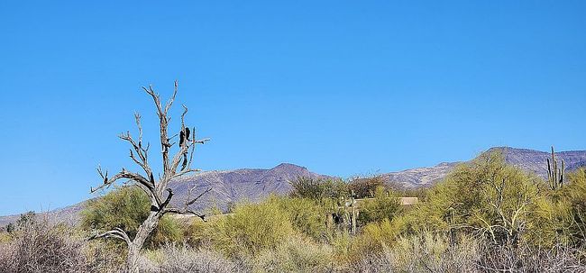 Image of 6800 E Cave Creek Rd #16