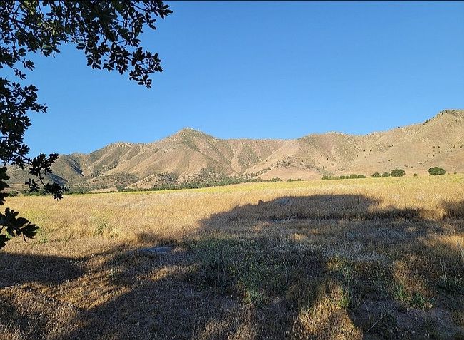 Image of 4543 Joshua Dr