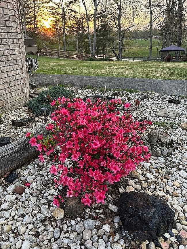 Photo of 90 Howington Ln, Corbin, KY