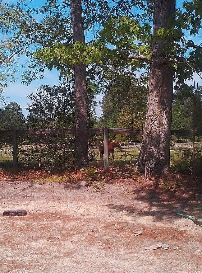 Image of 1114 Cedar Lane Rd