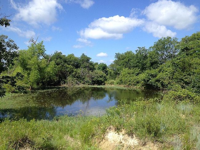 Image of 474 County Road 2745