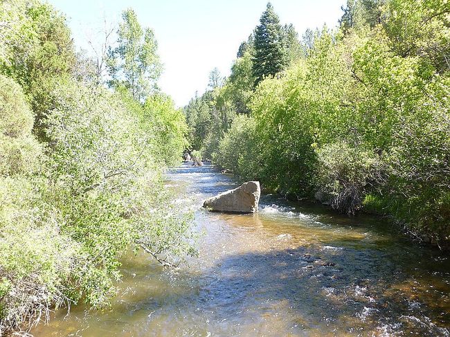 Image of El Macho Pecos Cyn