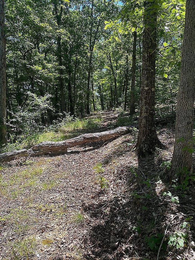 Photo of 100 N Woods Way, Branson, MO
