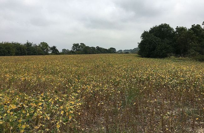 Additional photo 2 of property located at 2526 S Briggs St