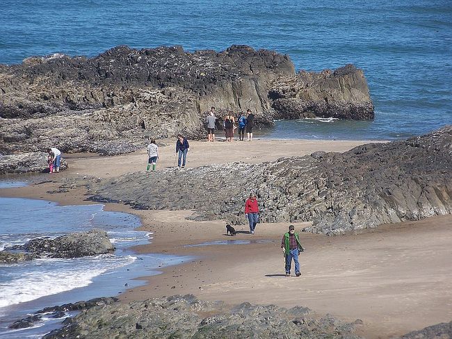 Image of 4009 Sw Highway 101 #341