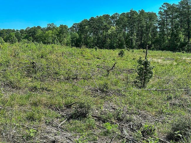 Image of 2710 County Road 4800