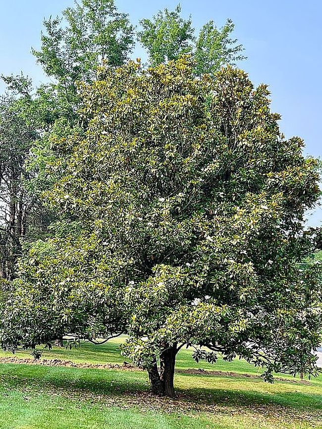 Photo of 109 Fireside Dr, Brandenburg, KY
