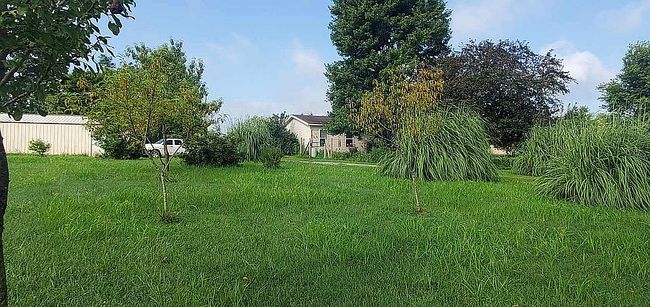 Photo of 4295 Lick Creek Rd, Buncombe, IL