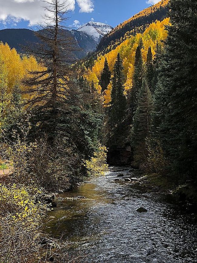 Photo of 651 W Pacific Ave #305, Telluride, CO