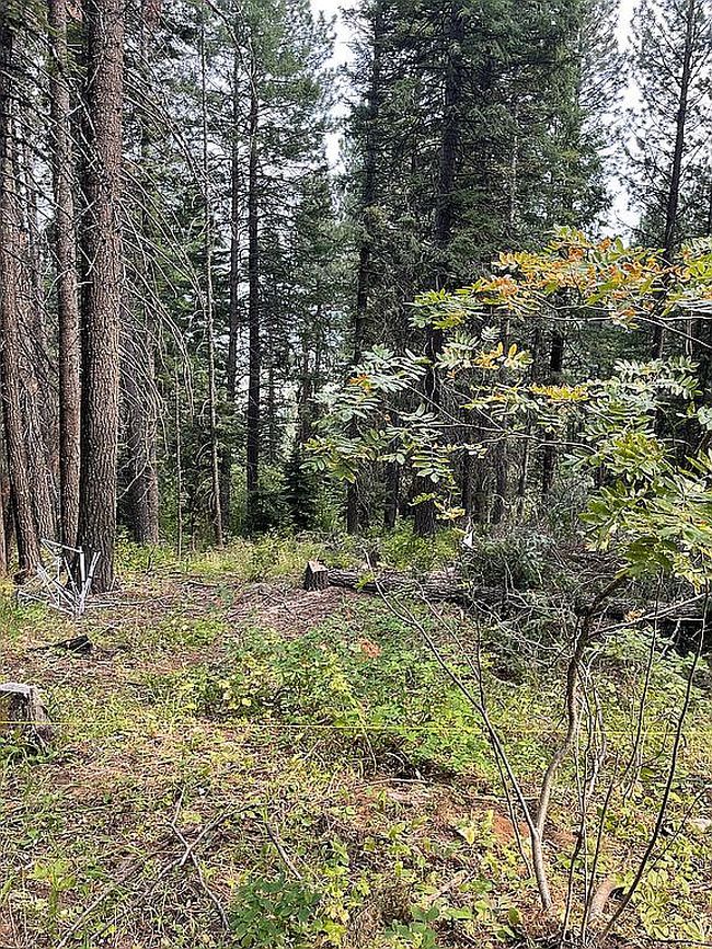 Photo of 66 Hillside Trl, Donnelly, ID