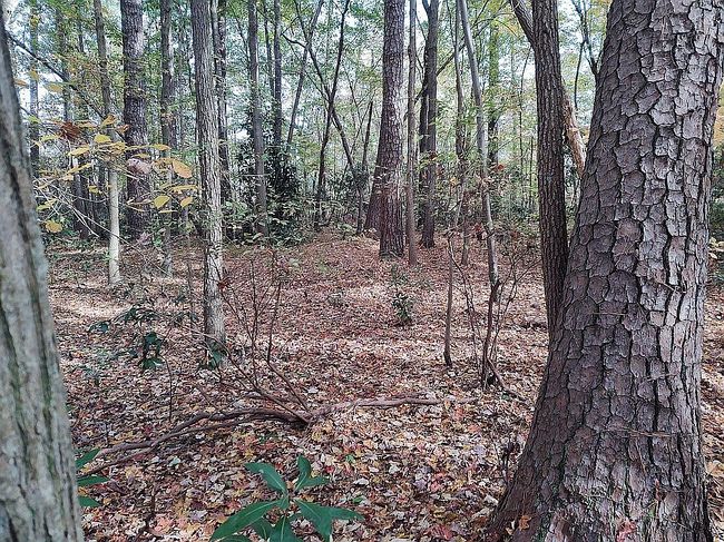 Image of 1216 Back Creek Rd