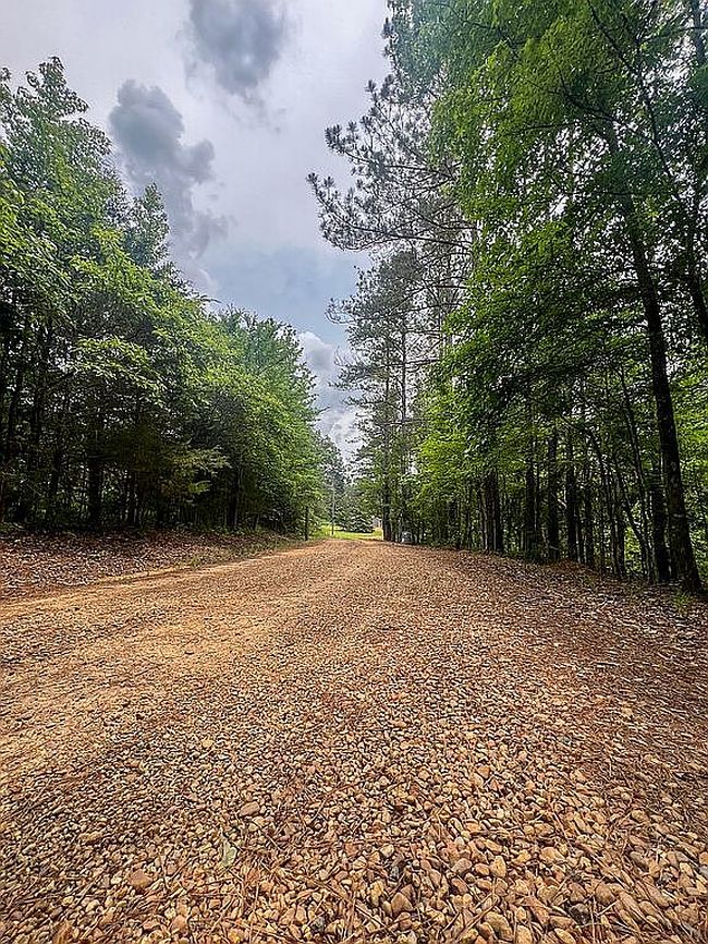Photo of 350 Odie Eaves Rd, Louisville, MS