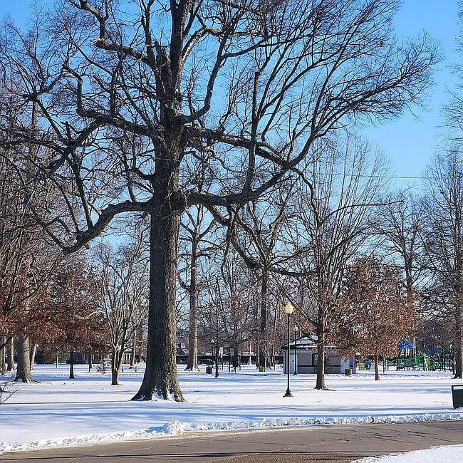 Image of 3046 Legion Park Dr