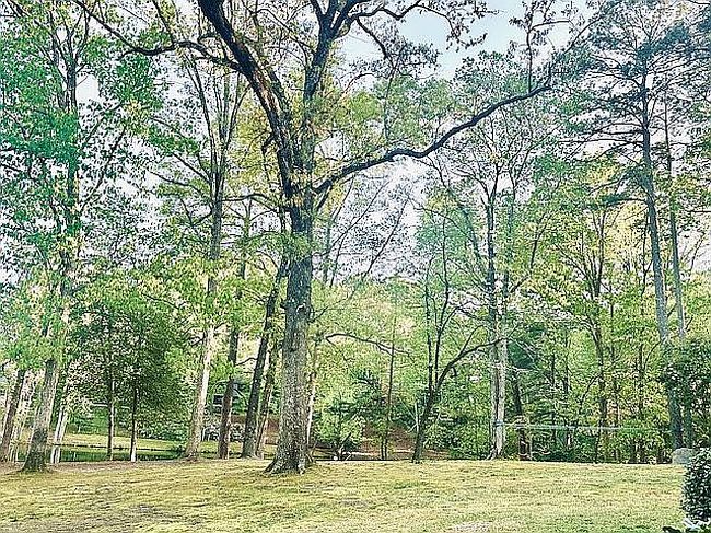 Image of 308 Summertime Rd