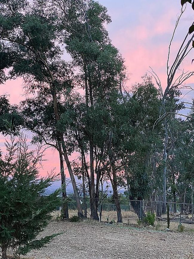 Photo of 32272 Florida Ave, Mentone, CA