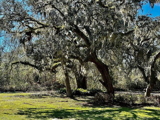 Image of 10621 89th Rd