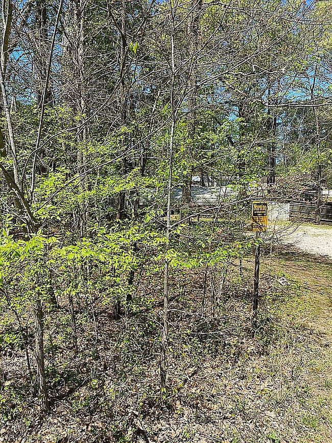 Image of 21 Pinewood Dr