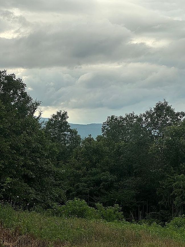 Image of 10476 Rodeo Rd