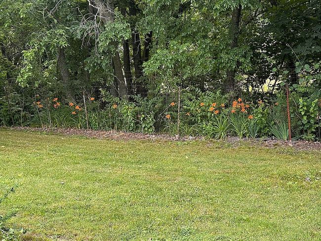 Photo of 25 Sw 600th Rd, Warrensburg, MO