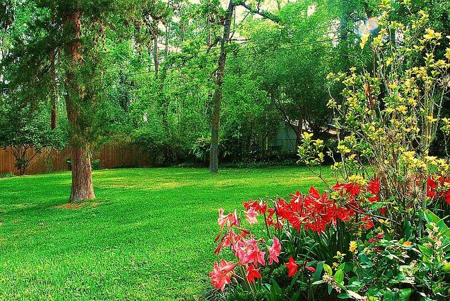 Photo of 850 Pecanwood Ln, Houston, TX