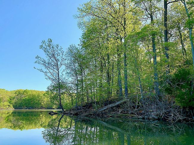 Image of Osprey Landing Trillium Way #14