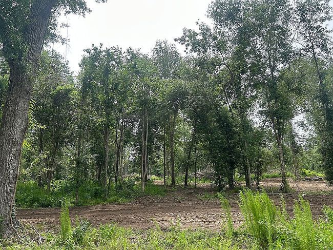 Photo of 2540 N China Rd, Beaumont, TX
