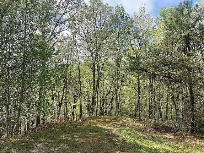 Image of 1788 Younce Creek Rd