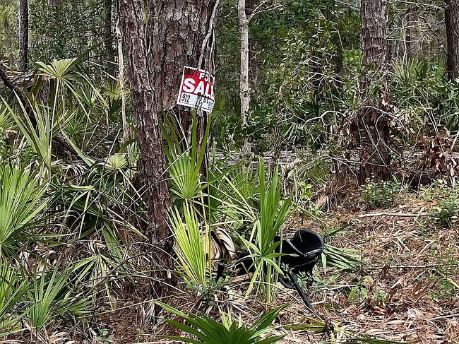 Image of Lot 22 Pine Hill Rd Ne