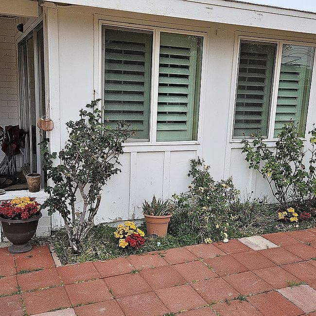 Image of 10228 N 105th Ave