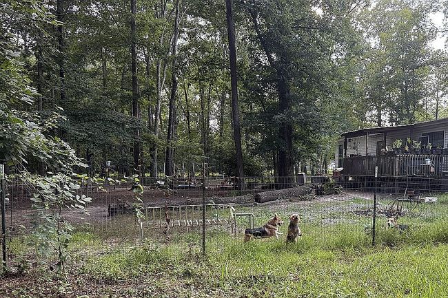Photo of 7894 Highway 46 N, Sheridan, AR