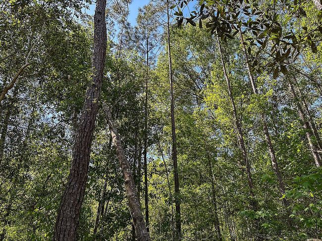 Image of 2710 County Road 4800