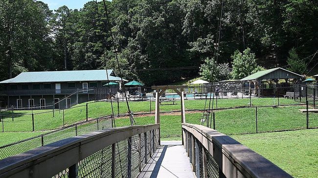 Photo of 241 17th St, Ellijay, GA