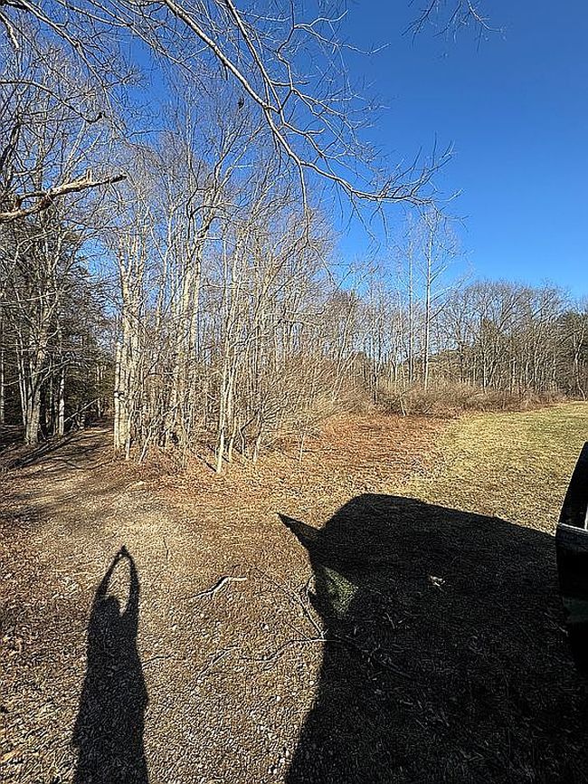 Photo of 0 Scot Siding Dr, Davis, WV