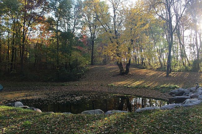 Photo of 0 Reflection Pond Dr Lot 7, Middleville, MI